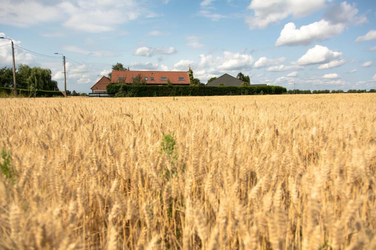 Gîtes de La Vesée La Chapelle d'Armentieres Esterno foto